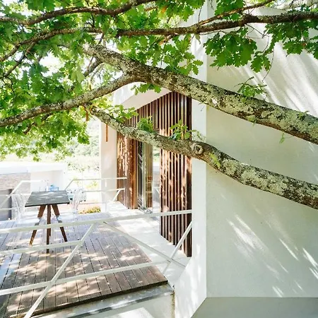 Quinta Do Pomar Maior Villa Arouca Exterior photo